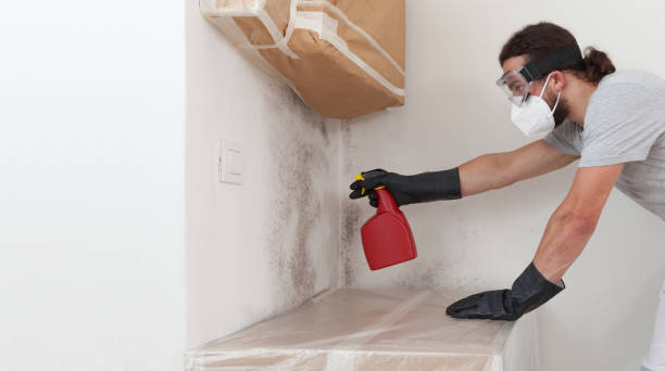 Professional Attic Mold Remediation technician working in Vandalia, IL