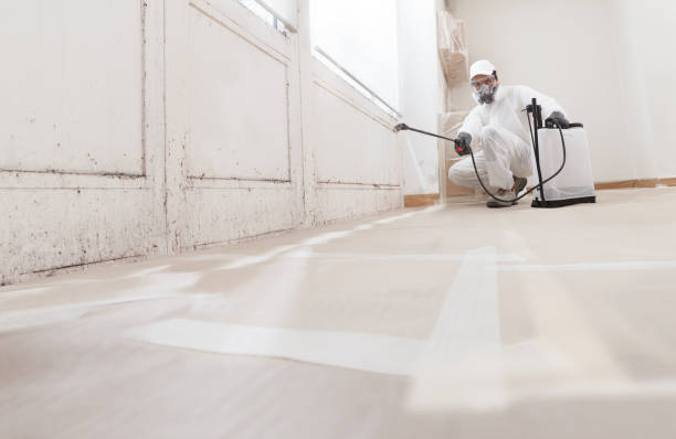 24/7 Emergency Attic Mold Remediation experts in Vandalia, IL