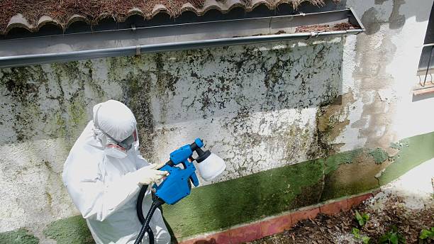 Top rated local Attic Mold Remediation specialists in Vandalia, IL